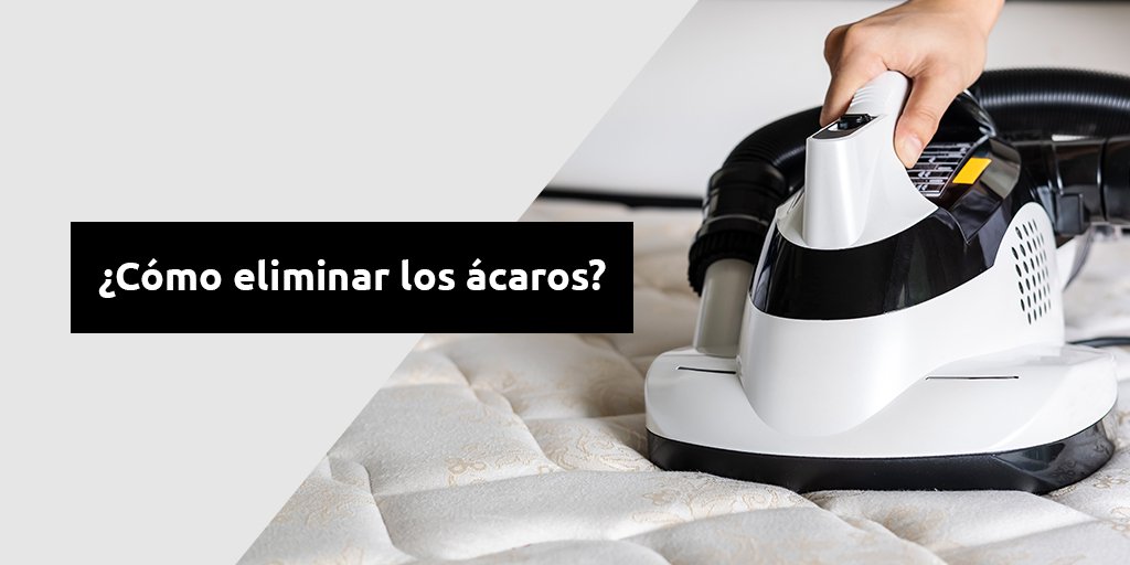 fumigación de acaros